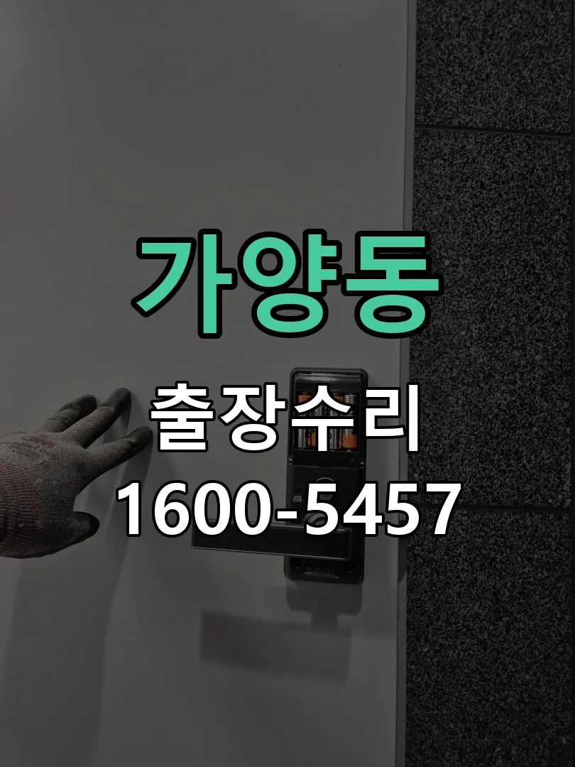 가양동 잠금장치 동작 확인