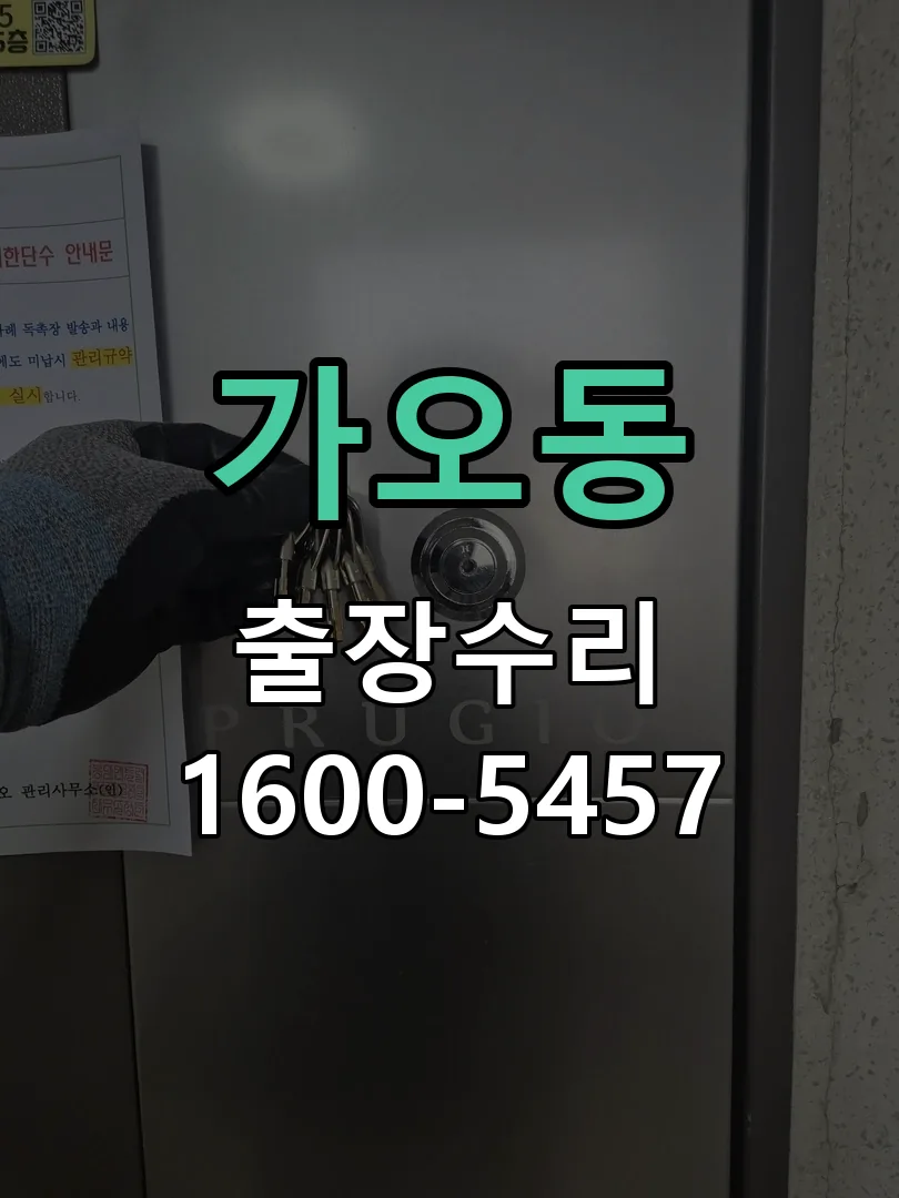 가오동 배선·접점 정리