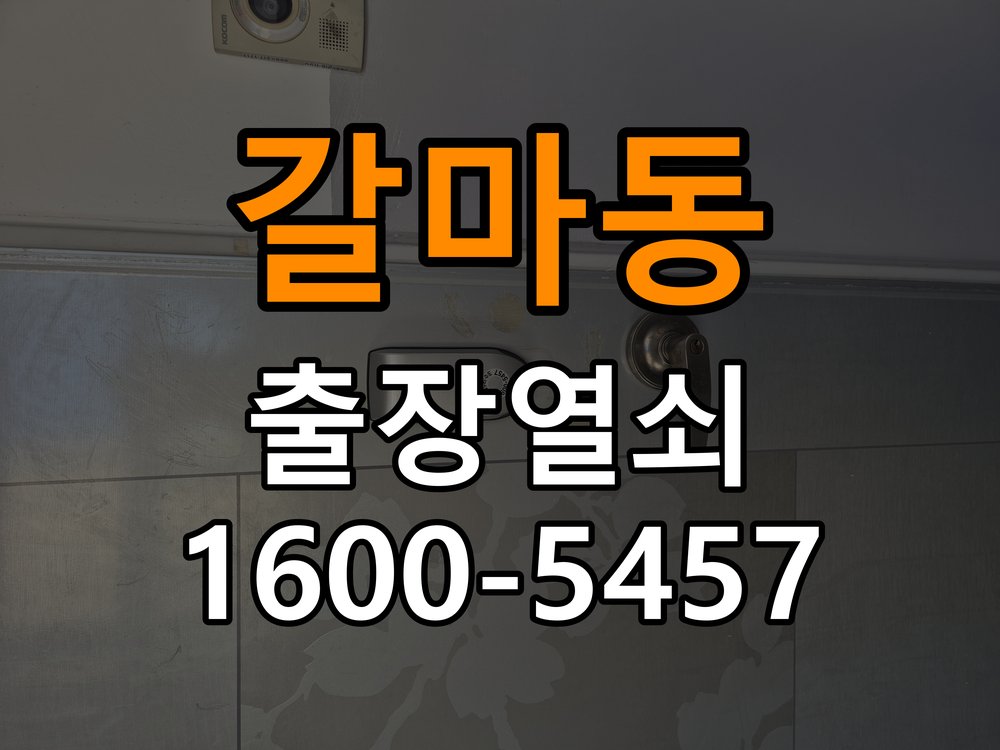 갈마동열쇠 오피스텔 도어락 나사 풀림 고정 불량 점검 참고 사진 1