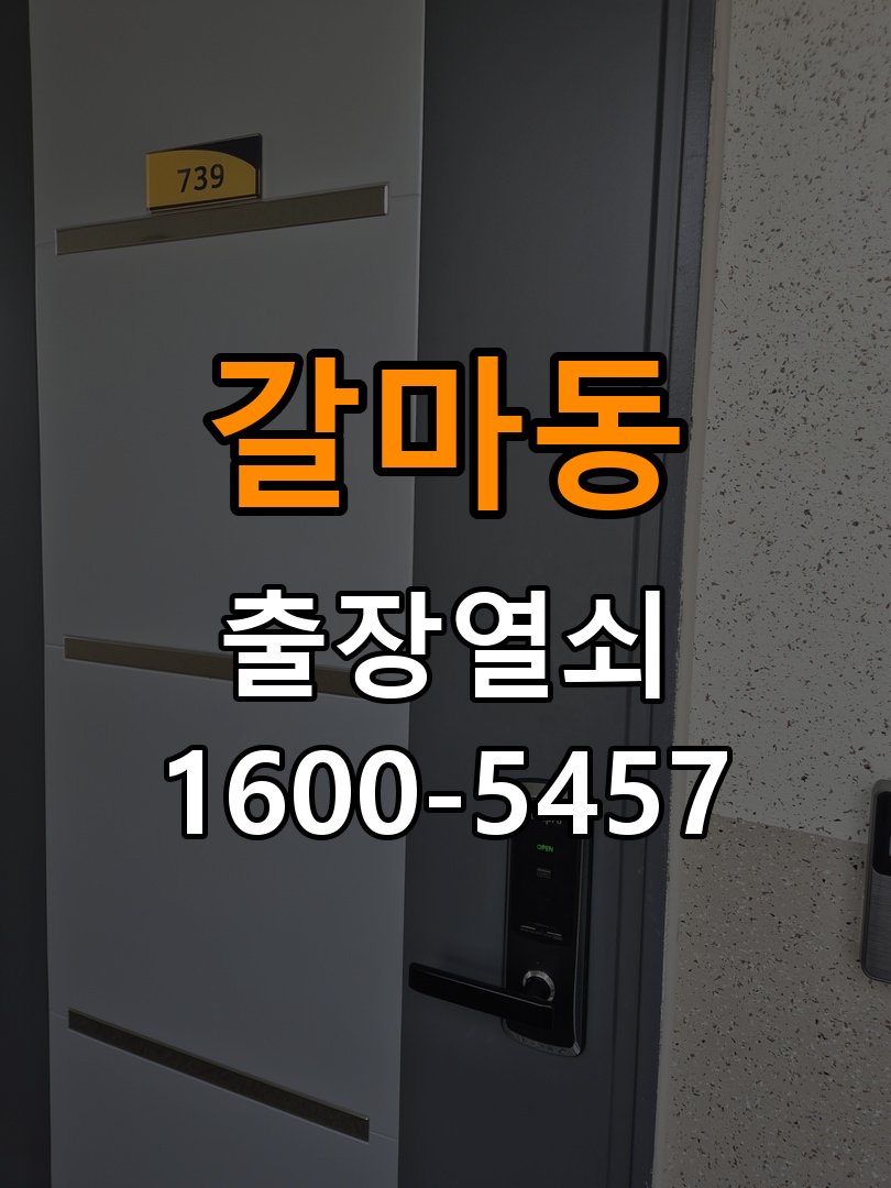 갈마동열쇠 오피스텔 도어락 나사 풀림 고정 불량 점검 참고 사진 2