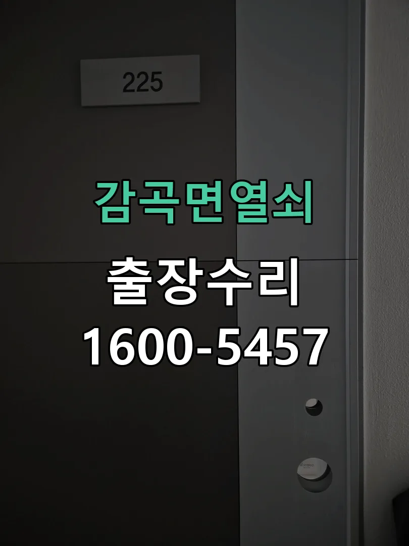 경기 도어락 열쇠 출장 수리