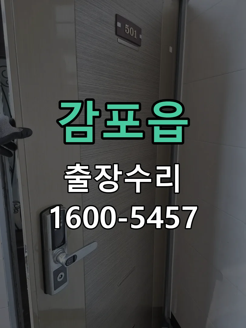 경기 도어락 열쇠 출장 수리