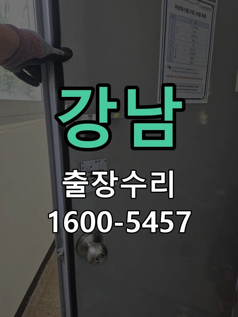 강남 잠금장치 동작 확인