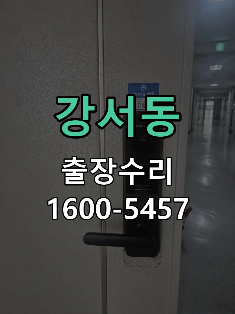 강서동 현장 도착 후 상태 확인