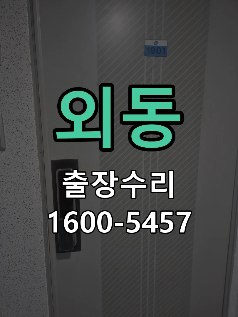 외동 배선·접점 정리