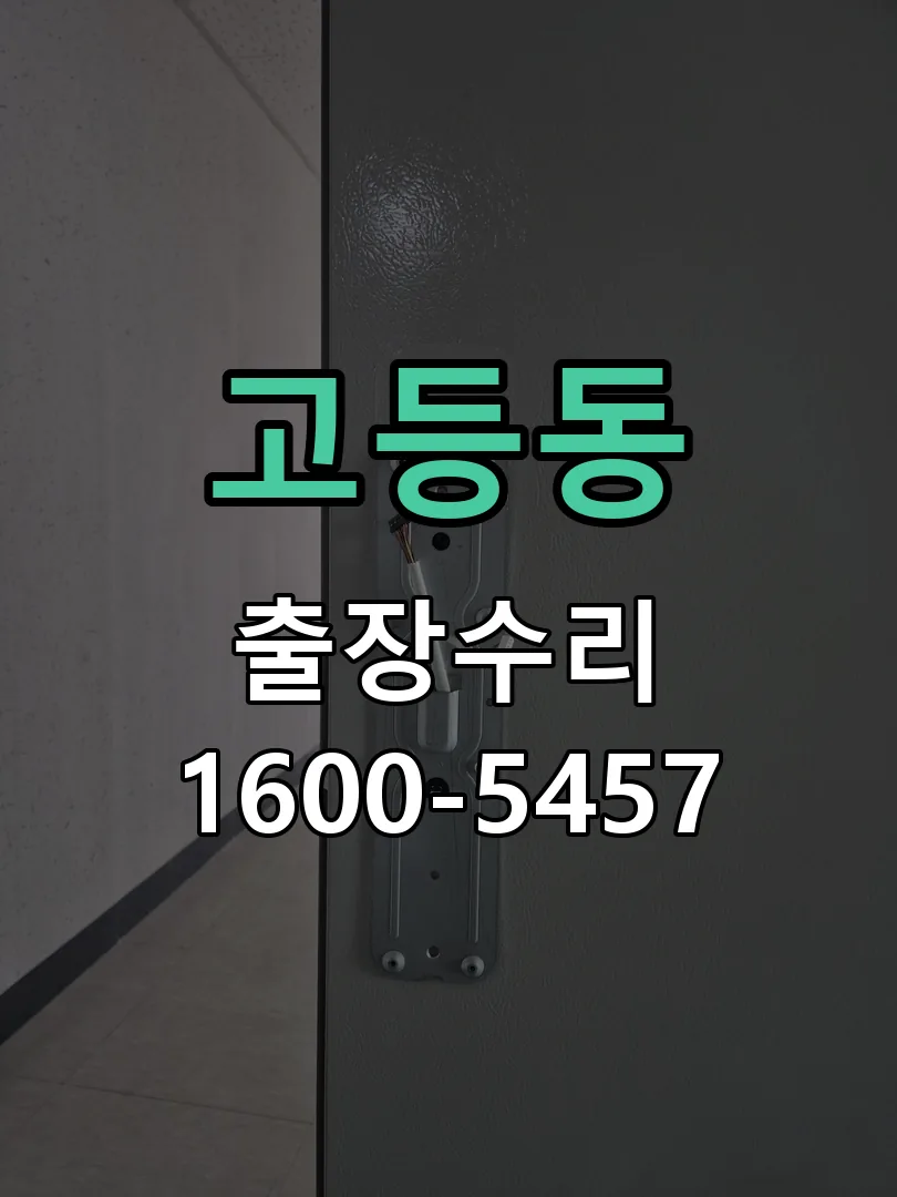 고등동 현장 도착 후 상태 확인