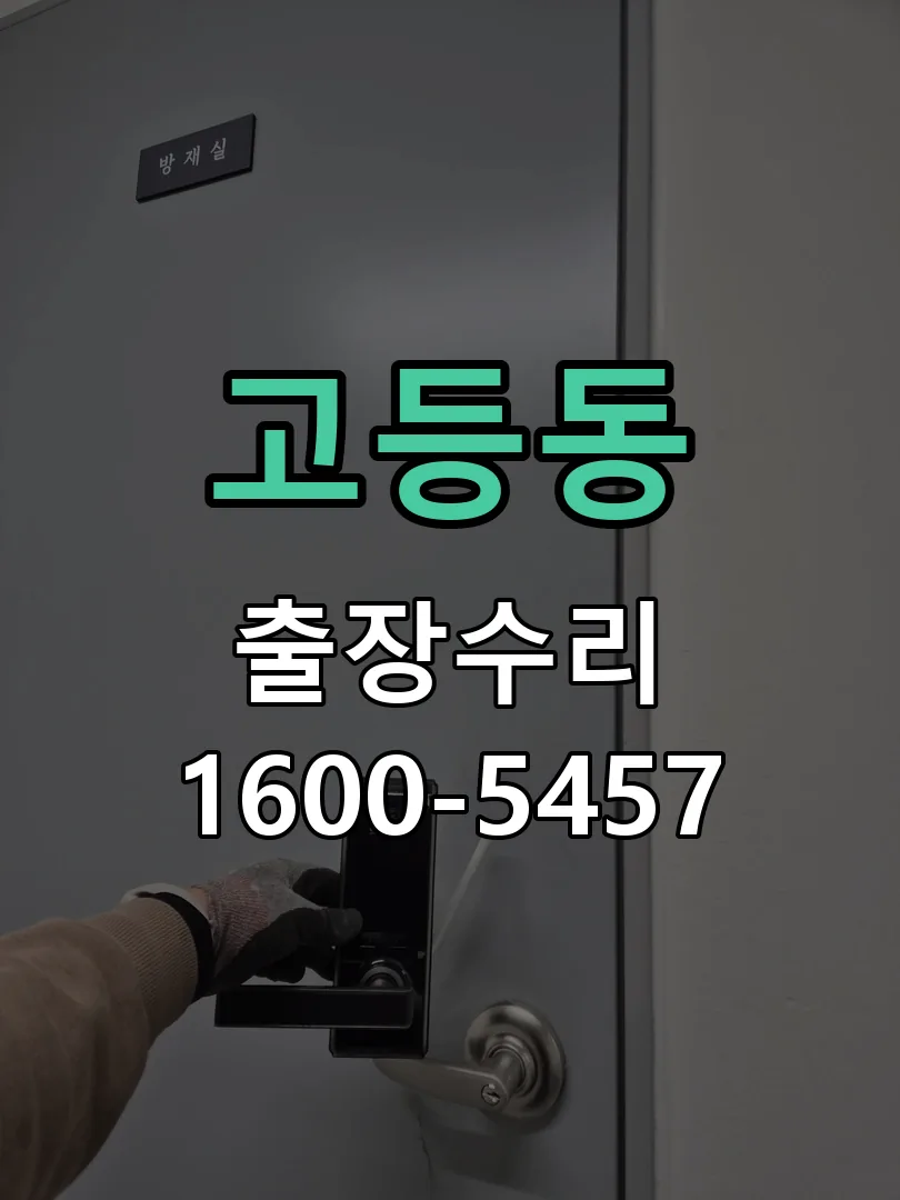 고등동 배선·접점 정리