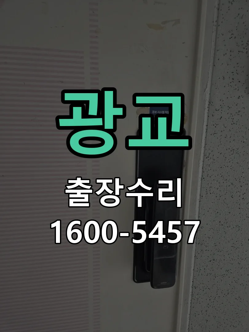 광교 배선·접점 정리