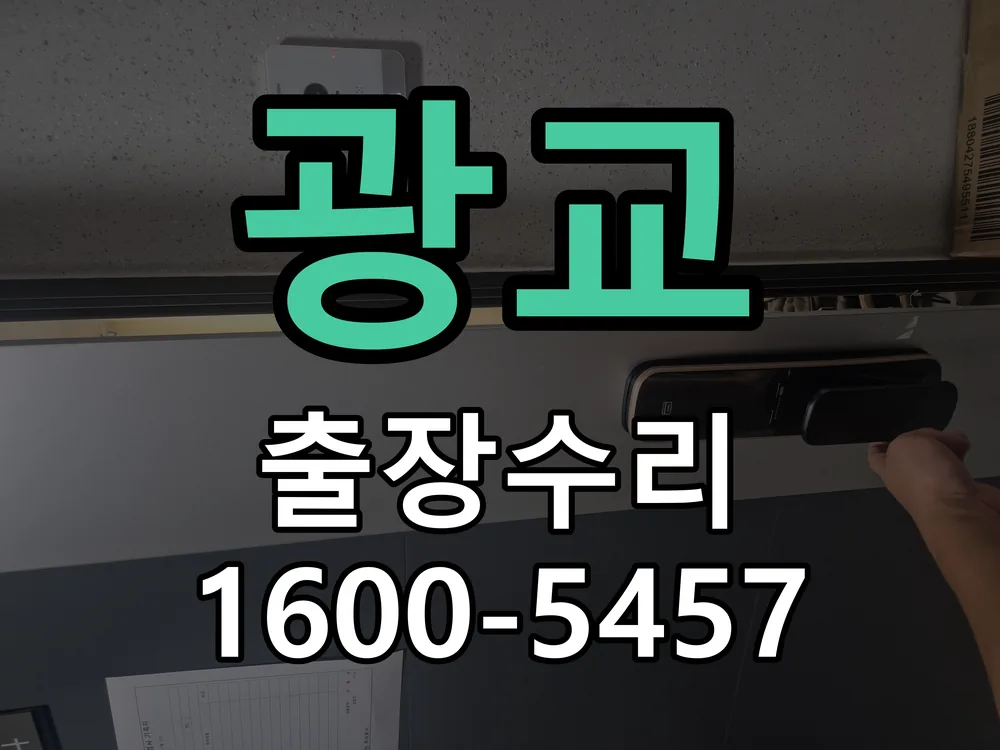 광교 배선·접점 정리