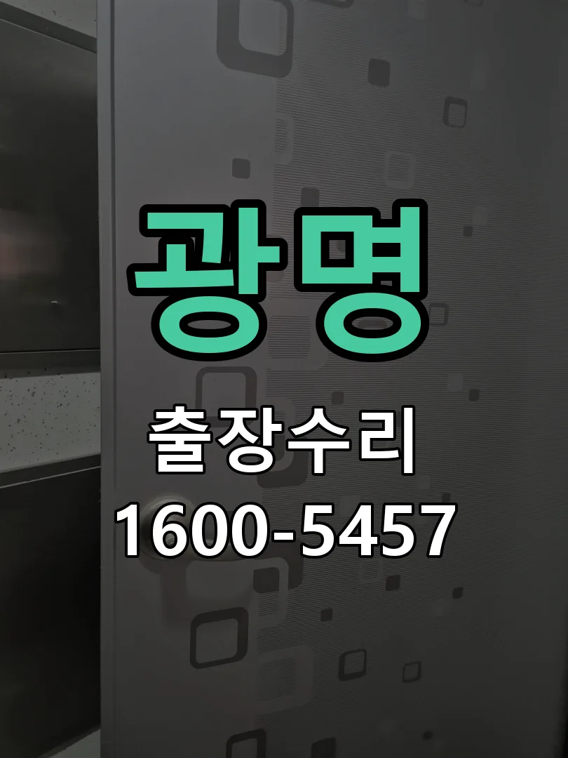 광명 잠금장치 동작 확인