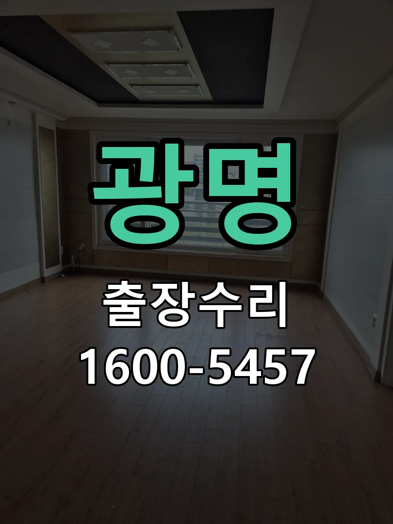 광명 본체 분리 및 내부 점검