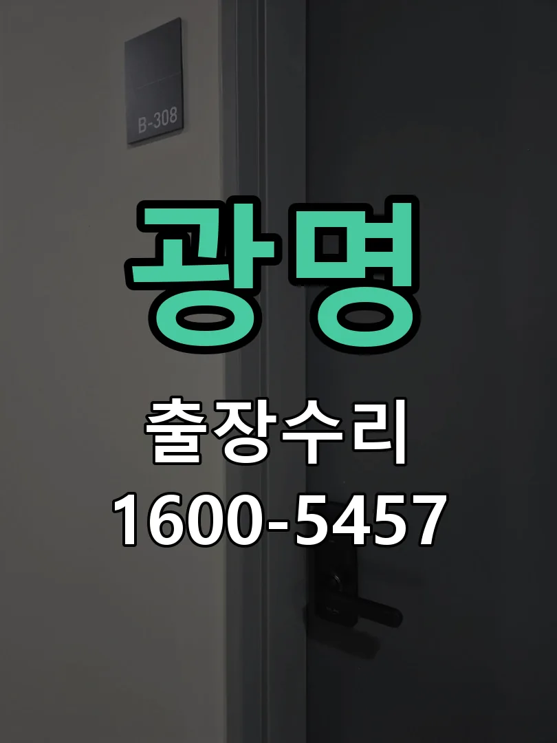 광명 잠금장치 동작 확인