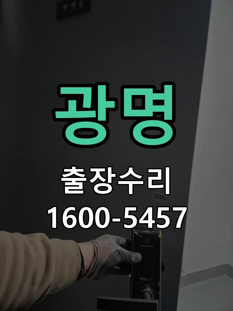 광명 배선·접점 정리