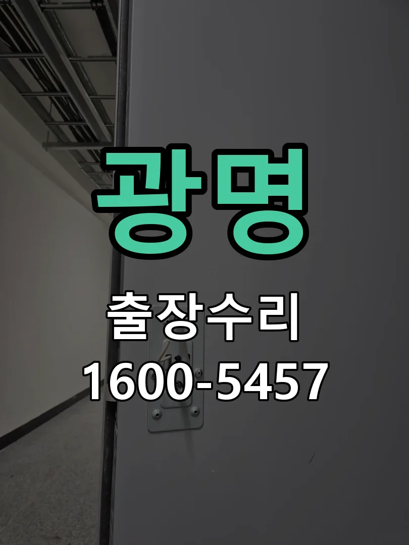 광명 잠금장치 동작 확인