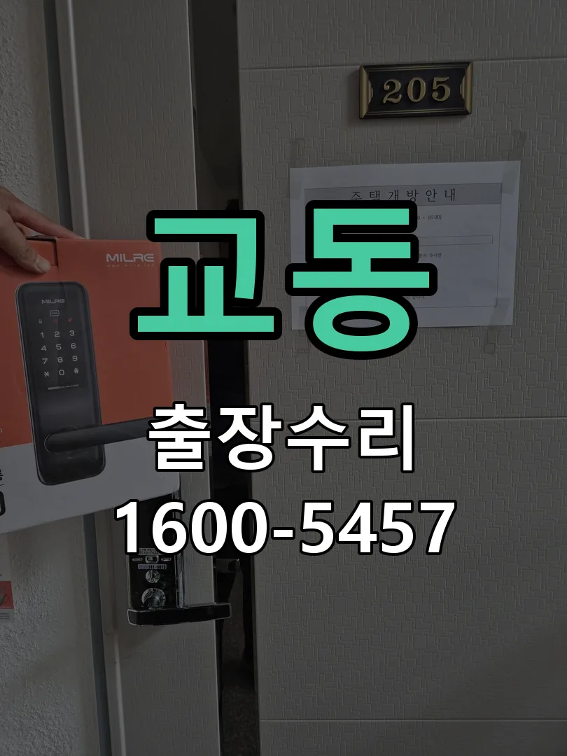 교동 배선·접점 정리