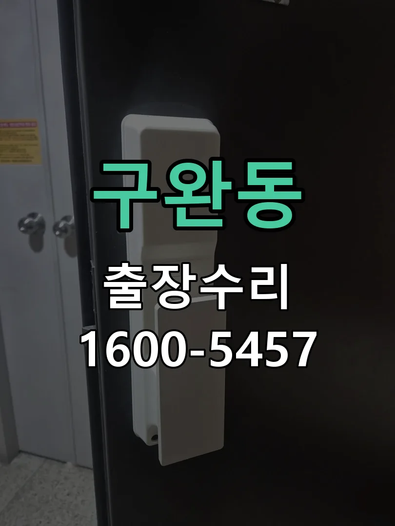 구완동 배선·접점 정리