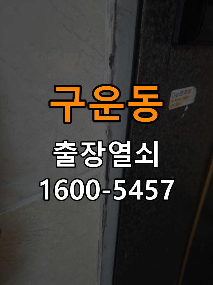 구운동 아파트 도어락 건전지 누액 단자 부식 청소 및 수리 - 외관은 정상인데 작동이 안 될 때 점검 부식 단자 화학 세척 및 스프링 전원 접점 재생 정밀 점검 및 교체