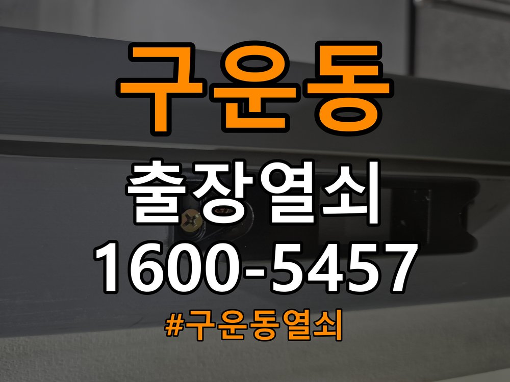 구운동 아파트 도어락 건전지 누액 단자 부식 청소 및 수리 - 외관은 정상인데 작동이 안 될 때 점검 작업 완료 후 정상 작동 확인