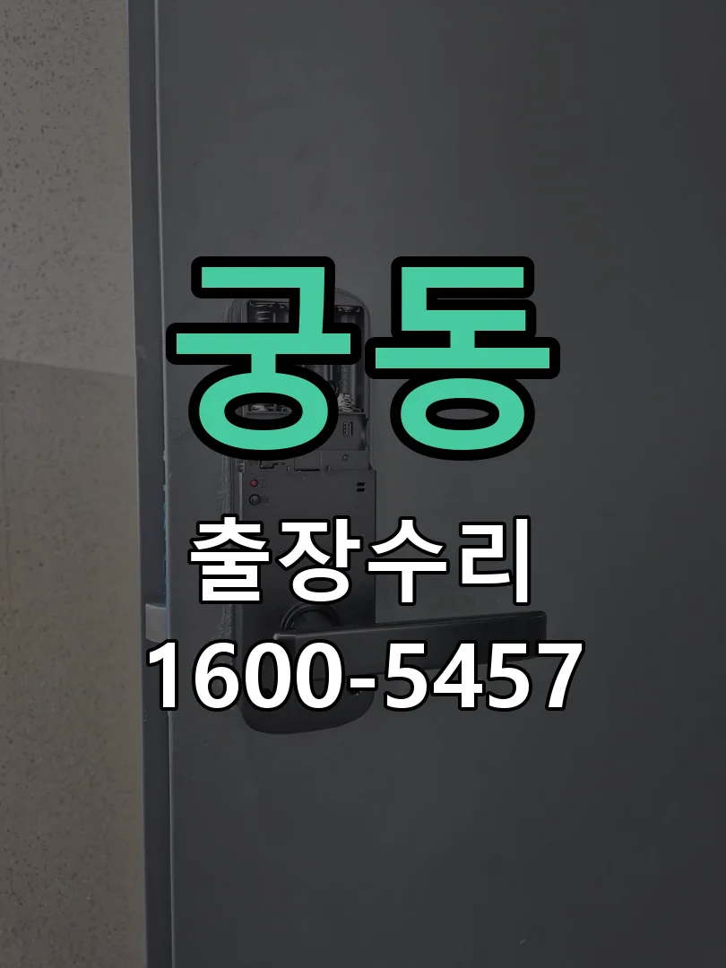 궁동 도어락 열쇠 출장 수리