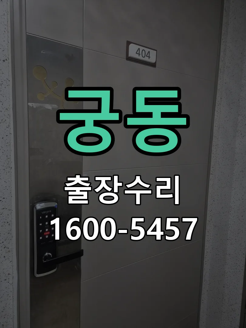 궁동 배선·접점 정리