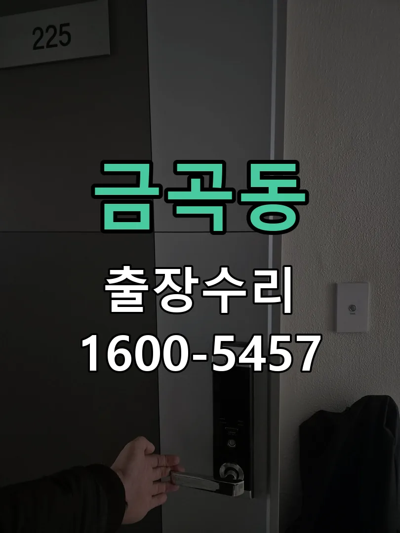 금곡동 도어락 열쇠 출장 수리
