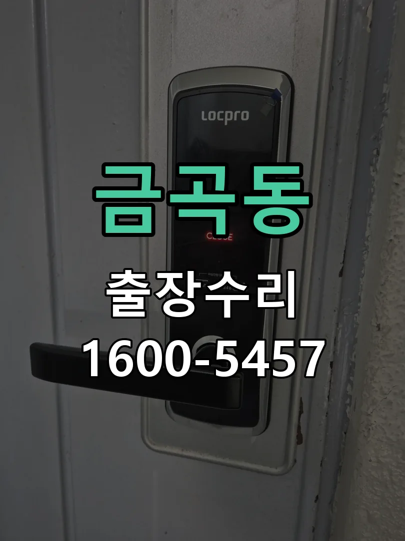 금곡동 잠금장치 동작 확인