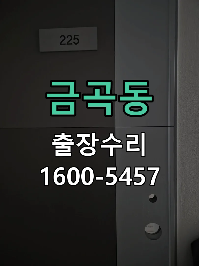 금곡동 현장 도착 후 상태 확인