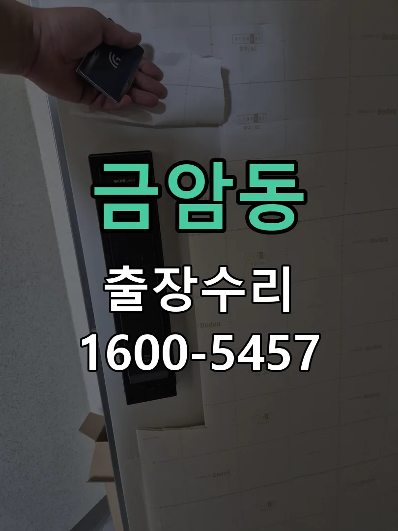 금암동 도어락 열쇠 출장 수리