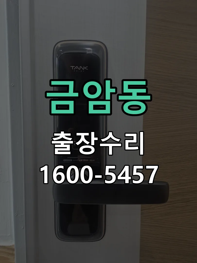 금암동 잠금장치 동작 확인