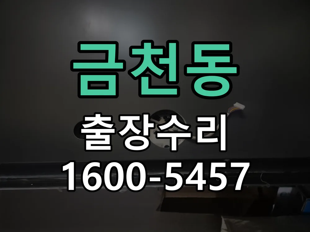 금천동 현장 도착 후 상태 확인