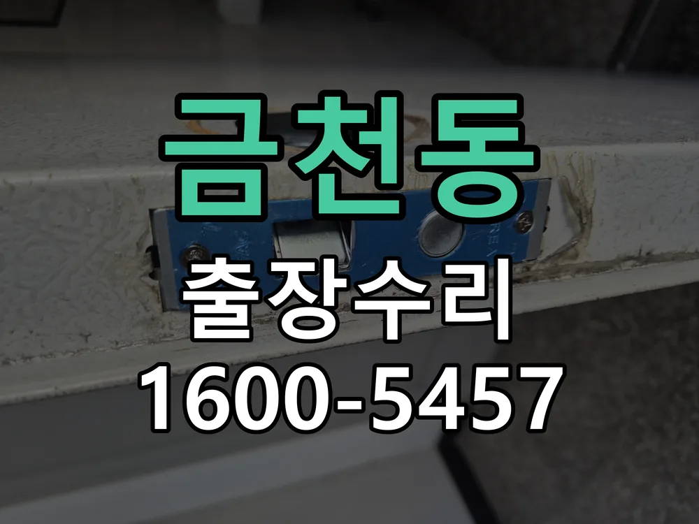 금천동 잠금장치 동작 확인