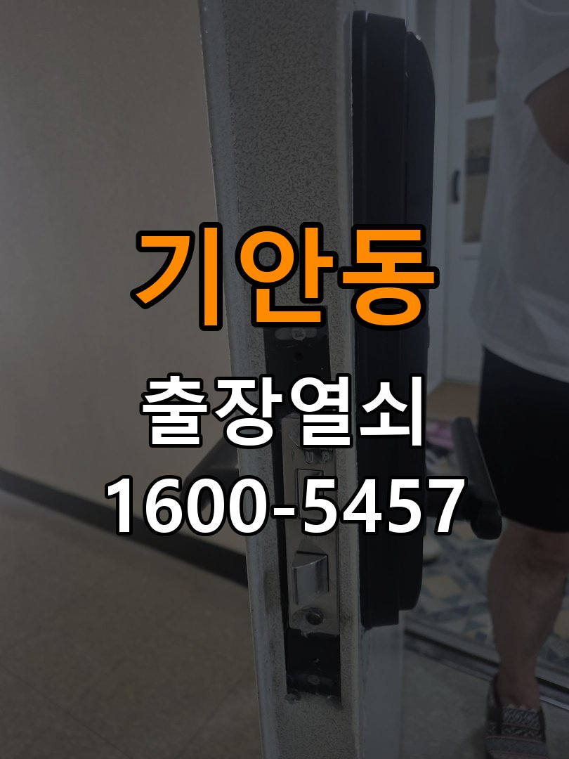 기안동 단독주택 월세집 도어락 교체 전 확인할 설치 조건 - 수리 상담 때 물어볼 사항 단독주택 출입 공간에서 기존 장치 교체 가능 범위를 확인해야 함. 이 글의 점검 목적: 진단 결과, 필요한 부품과 예상 작업 범위를 상담 현장 출장