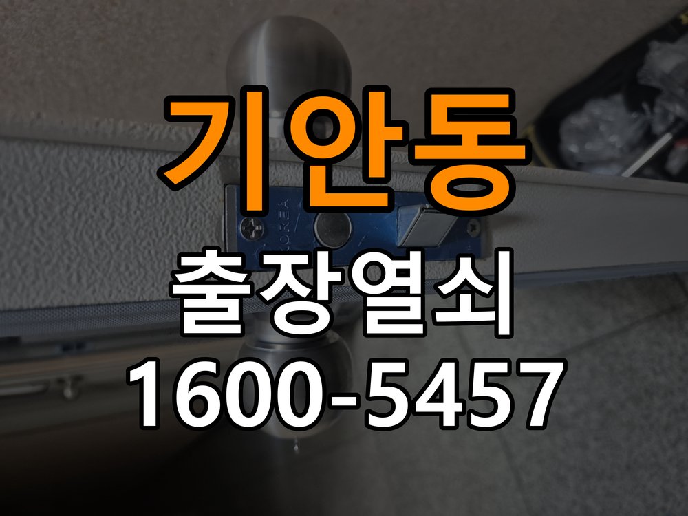 기안동 단독주택 월세집 도어락 교체 전 확인할 설치 조건 - 수리 상담 때 물어볼 사항 작업 완료 후 정상 작동 확인