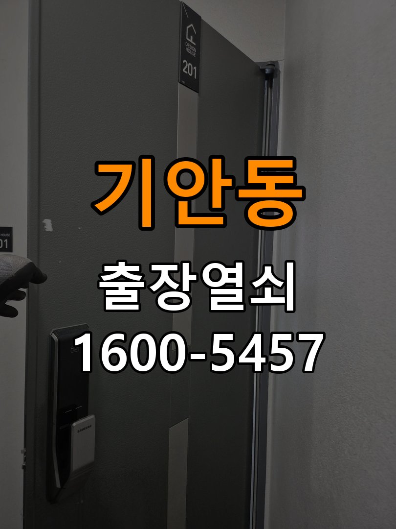 기안동 단독주택 월세집 도어락 교체 전 확인할 설치 조건 - 수리 상담 때 물어볼 사항 작업 완료 후 정상 작동 확인