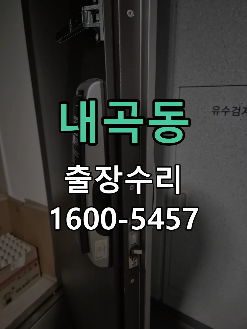 내곡동 잠금장치 동작 확인