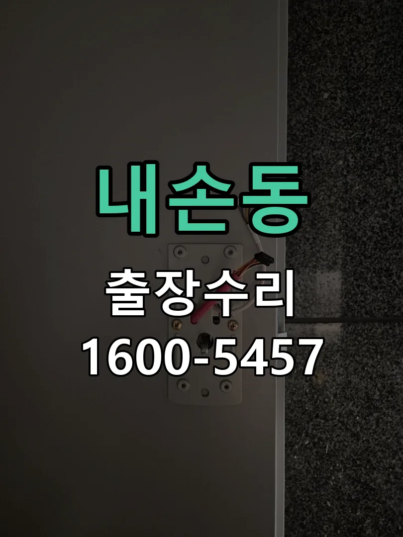 내손동 잠금장치 동작 확인