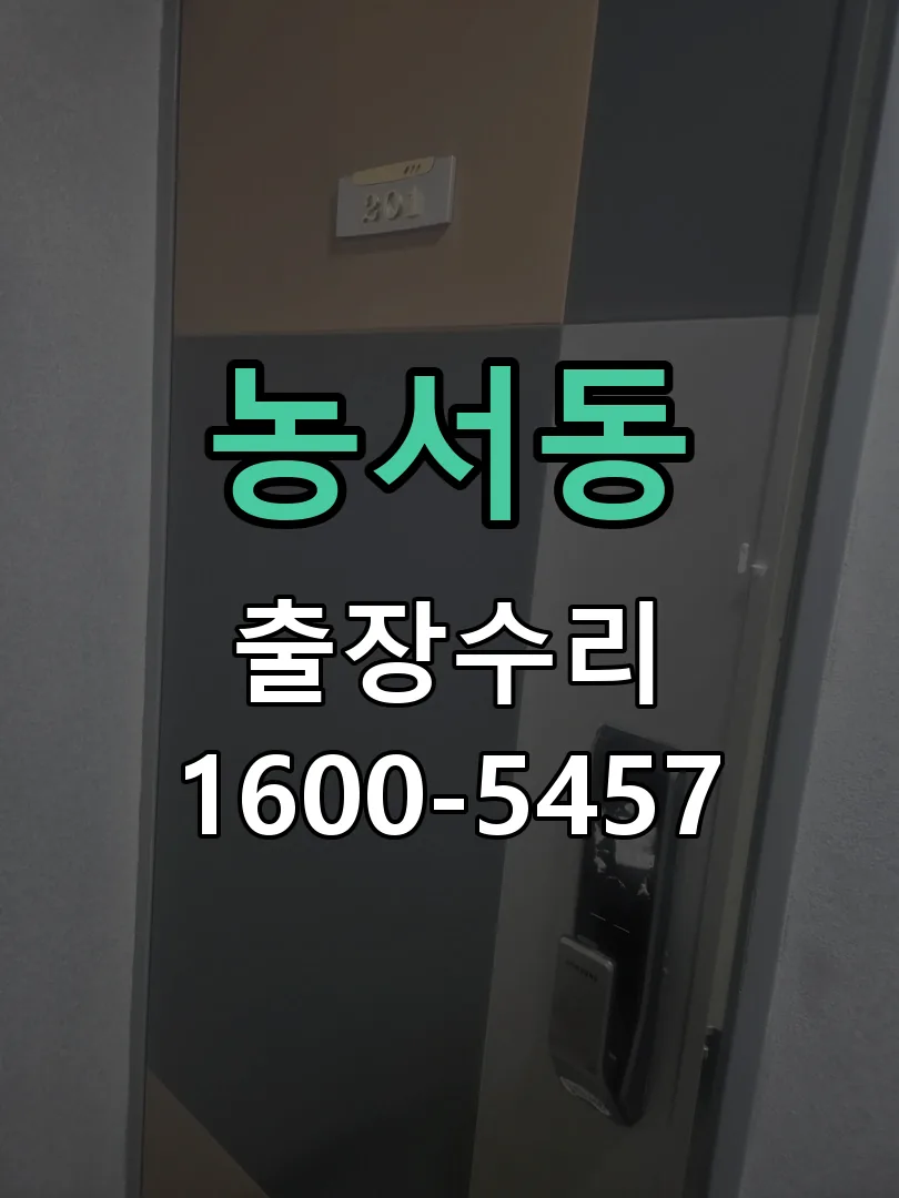 농서동 도어락 열쇠 출장 수리
