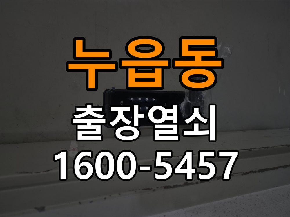 누읍동열쇠 빌라 두꺼운 문 도어락 규격 확인 및 설치 점검 참고 사진 2