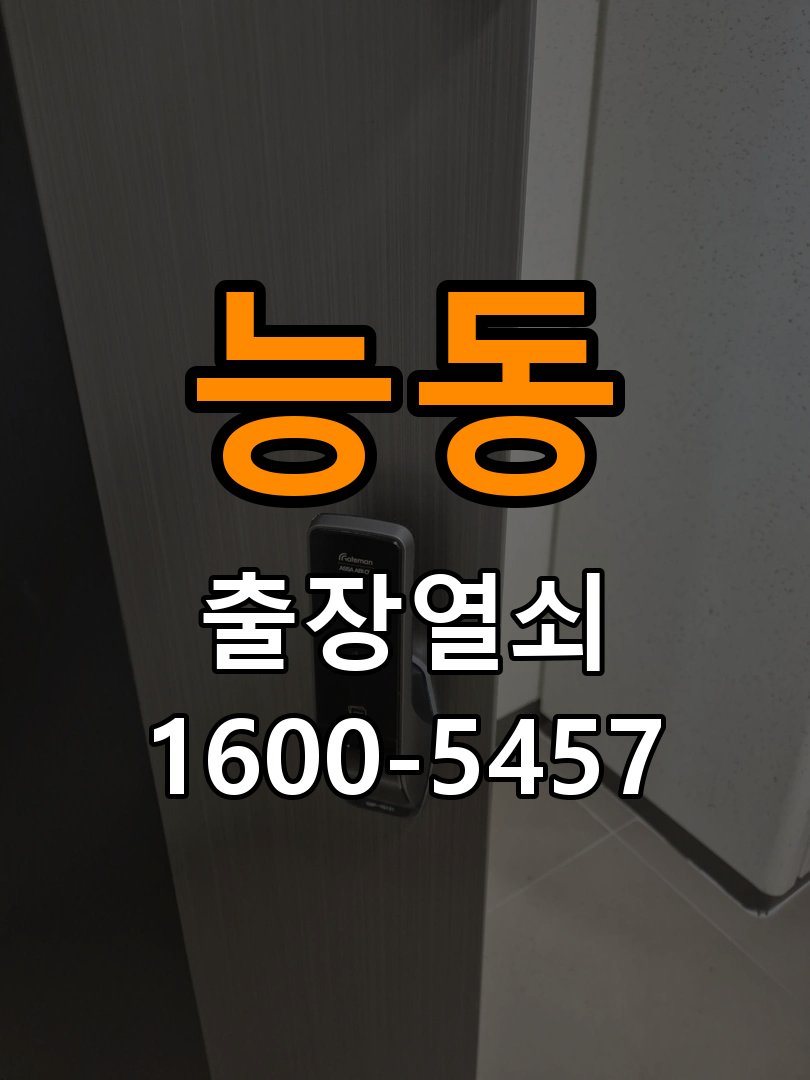 능동 아파트 기존 도어락 타공 자국을 고려한 교체 규격 확인 - 수리 상담 때 물어볼 사항 호환 잠금장치와 보강판 정밀 점검 및 교체