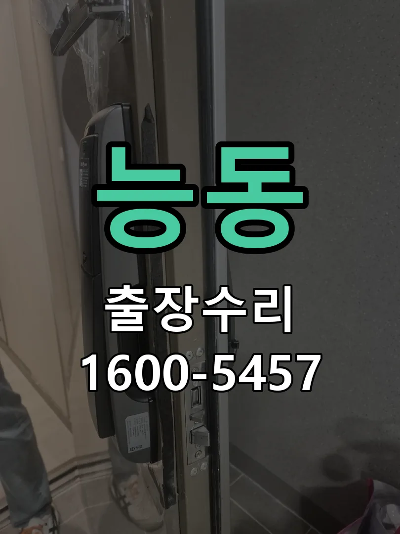 능동 배선·접점 정리