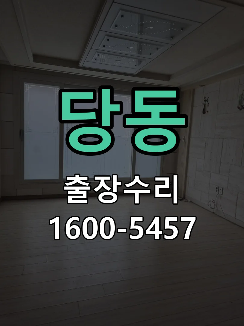 당동 도어락 열쇠 출장 수리