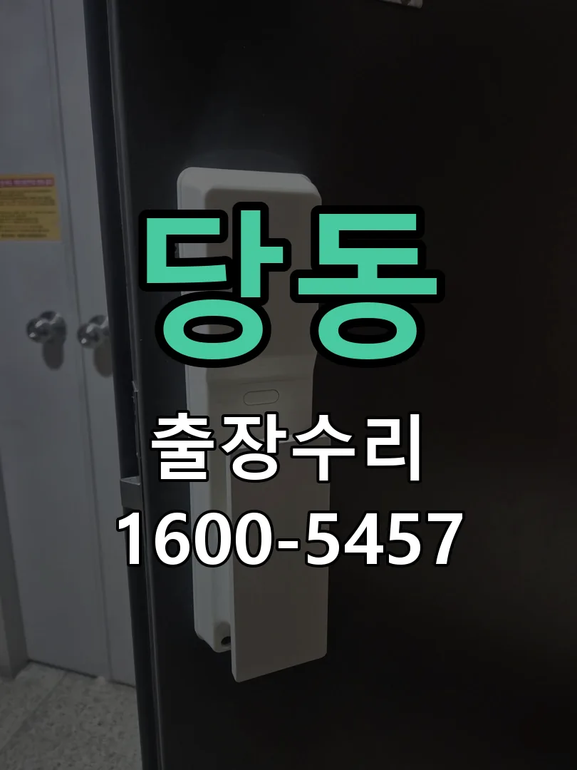 당동 잠금장치 동작 확인