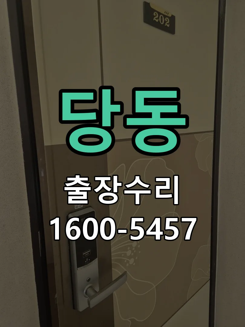 당동 배선·접점 정리