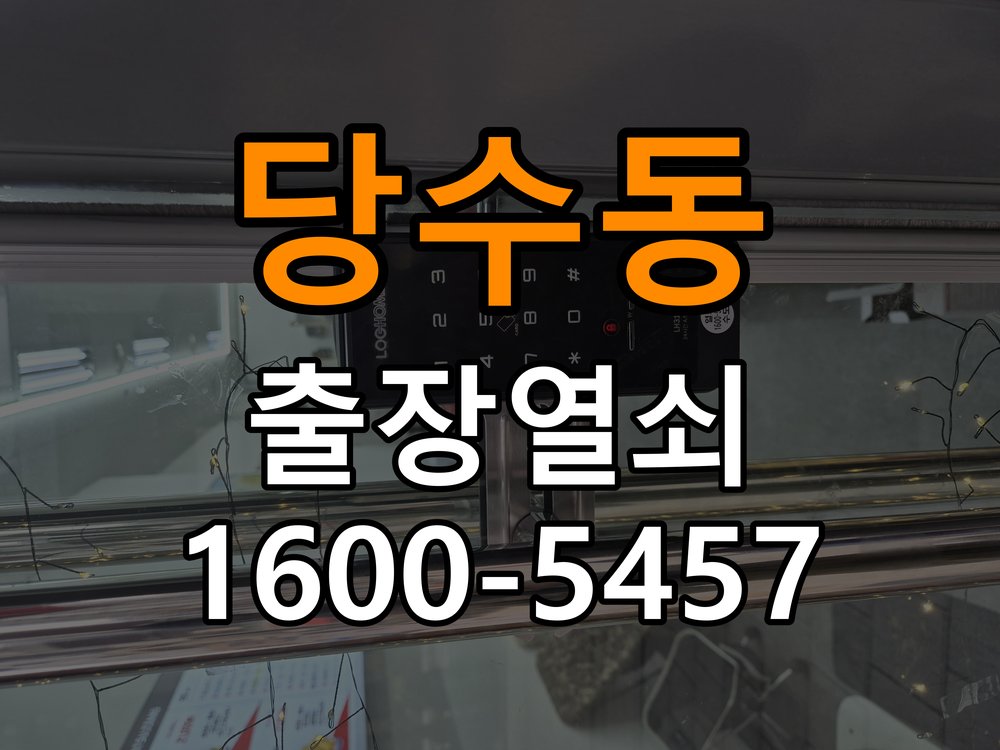 당수동 오피스텔 보조키 특수키 안전고리 추가 설치 - 비용 견적 전 준비사항 특수 핀 실린더 보조키 및 빗장형 고급 안전고리 정밀 점검 및 교체