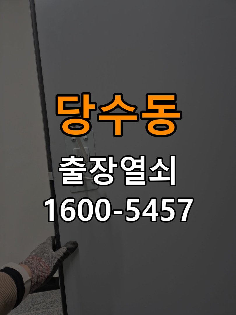 당수동 오피스텔 보조키 특수키 안전고리 추가 설치 - 비용 견적 전 준비사항 작업 완료 후 정상 작동 확인
