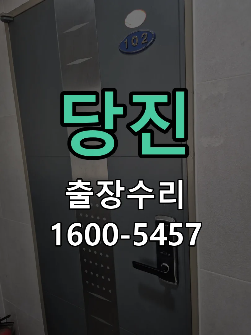 경기 도어락 열쇠 출장 수리