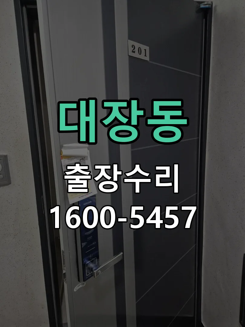 대장동 도어락 열쇠 출장 수리