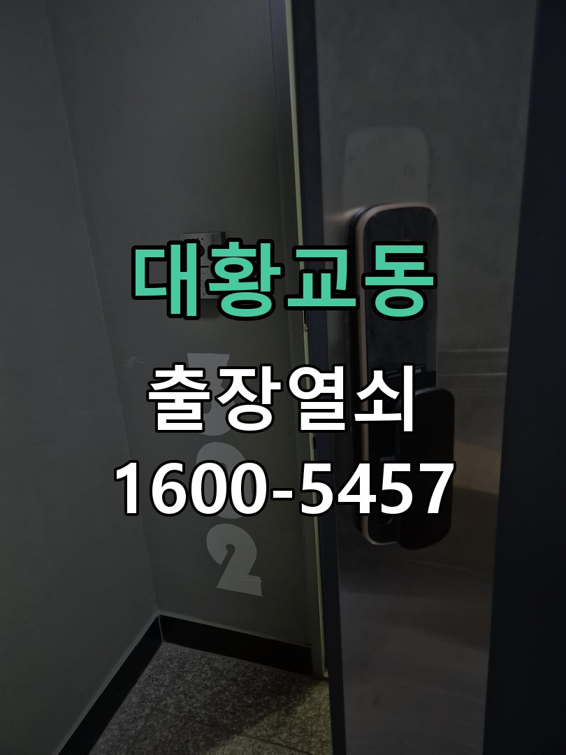 대황교동 보안 강화를 위해 지문/카드 겸용 최고급형으로 교체 지문인식 푸시풀 도어락 현장 점검 및 교체 작업