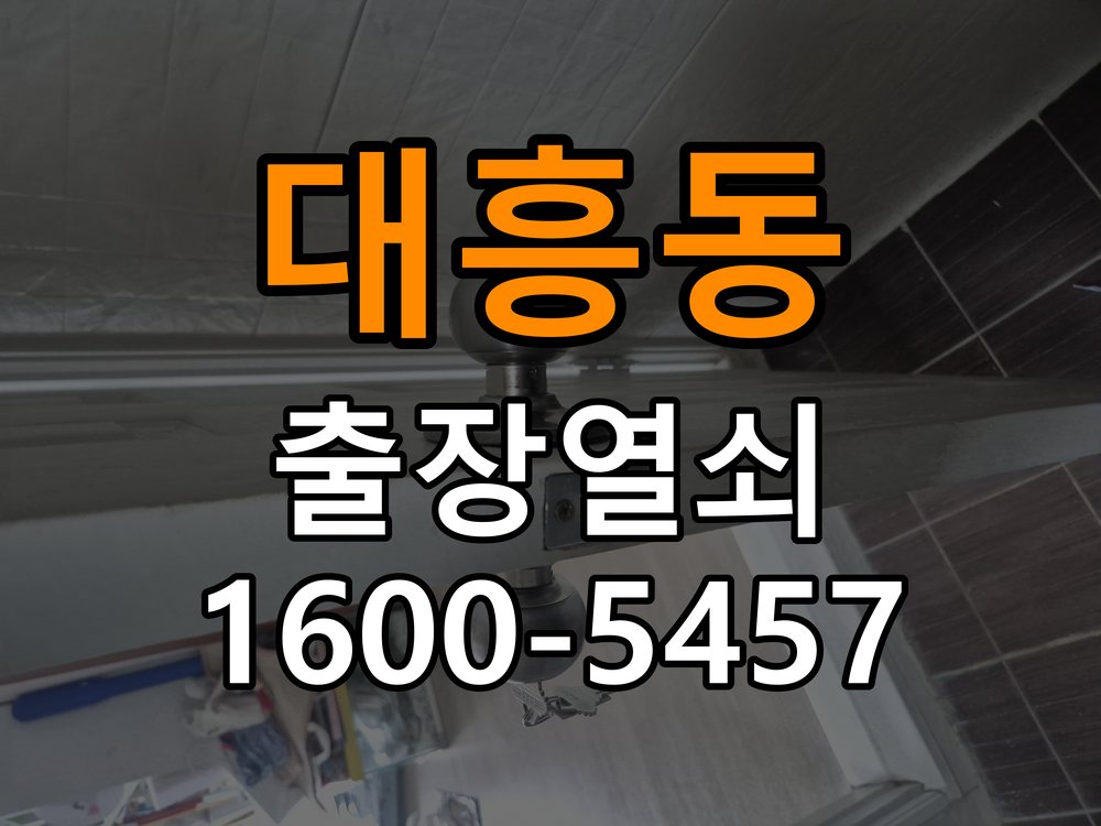 대흥동 보조키 특수키 안전고리 추가 설치 특수 핀 실린더 보조키 및 빗장형 고급 안전고리 정밀 점검 및 교체