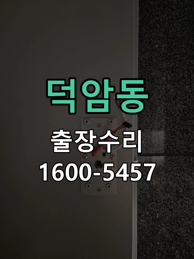 덕암동 도어락 열쇠 출장 수리